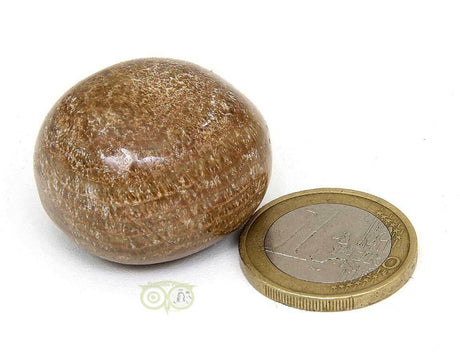 Aragonite tumbled stone No. 4