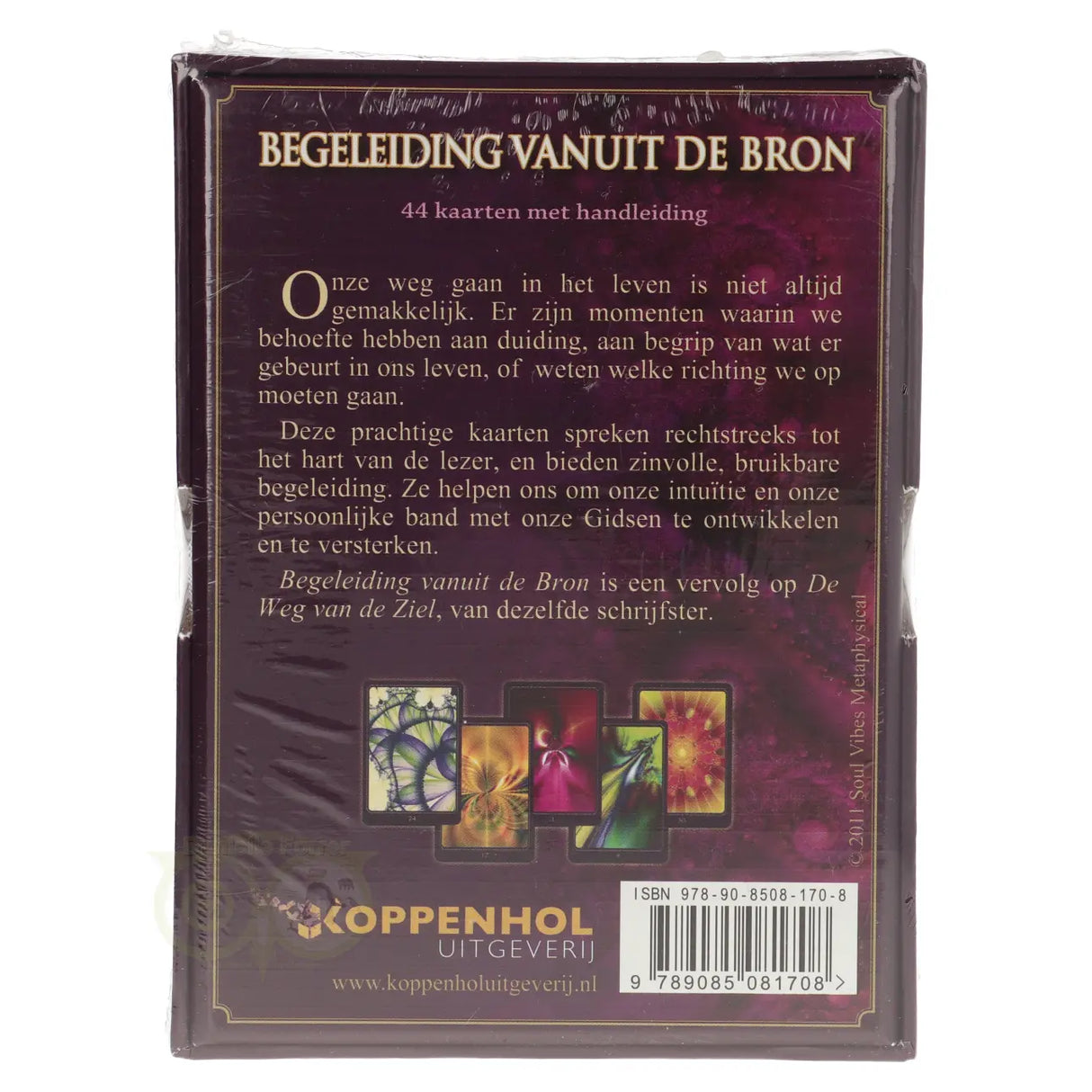 Begeleiding van uit de Bron - Cheryl Lee Harnish