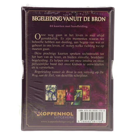 orakelkaarten begeleiding vanuit de bron nederlandstalig