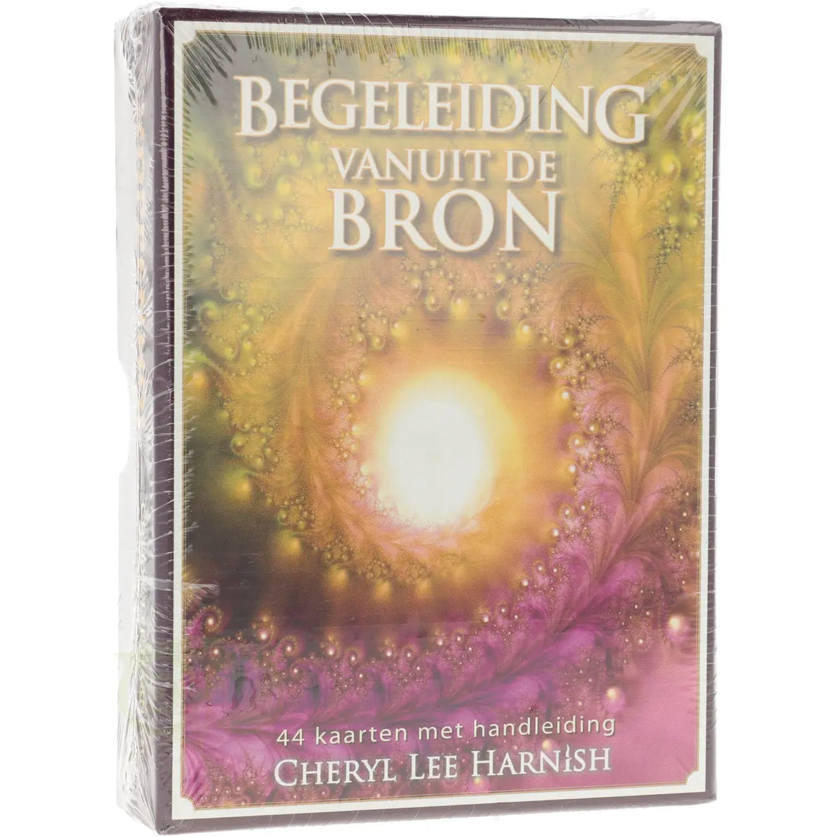 Begeleiding van uit de Bron - Cheryl Lee Harnish