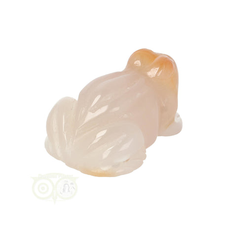 Flower Agate Frog No. 11