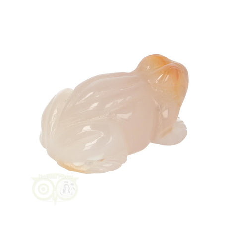Flower Agate Frog No. 11