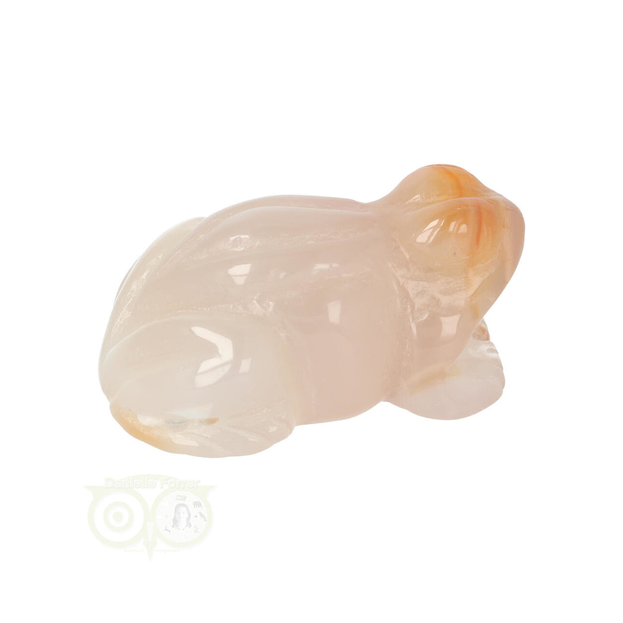 Blumenachat-Frosch Nr. 11