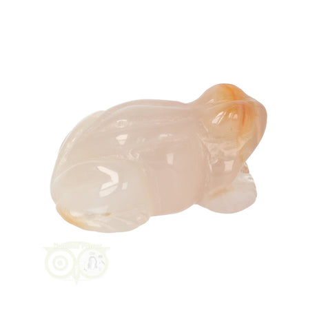 Flower Agate Frog No. 11