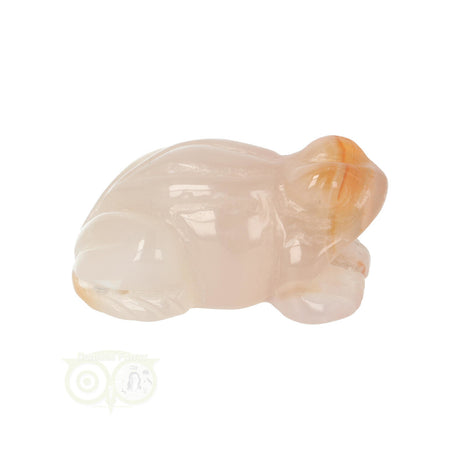 Flower Agate Frog No. 11
