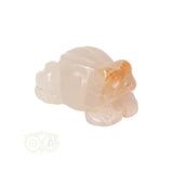 Blumenachat-Frosch Nr. 11