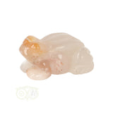 Blumenachat-Frosch Nr. 11