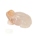 Blumenachat-Frosch Nr. 11