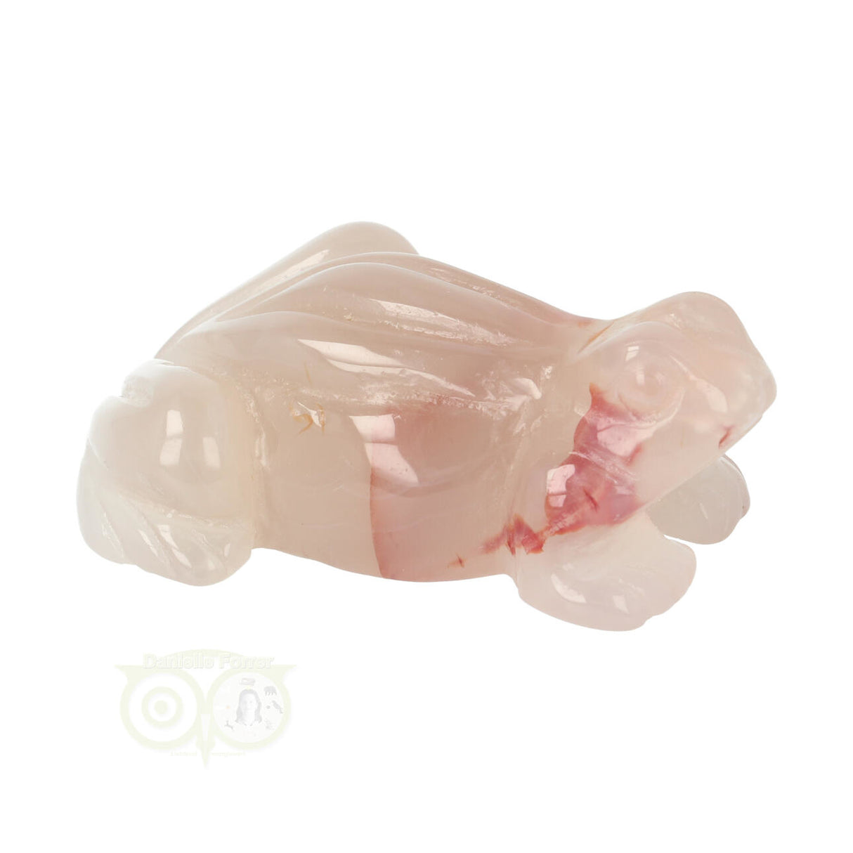 Bloem Agaat kikker nr 20