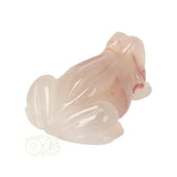 Bloem Agaat kikker nr 20