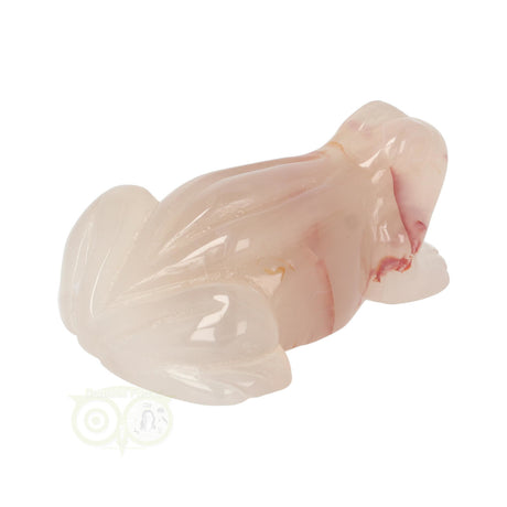 Flower Agate Frog No. 20