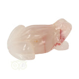 Bloem Agaat kikker nr 20