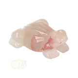 Bloem Agaat kikker nr 20