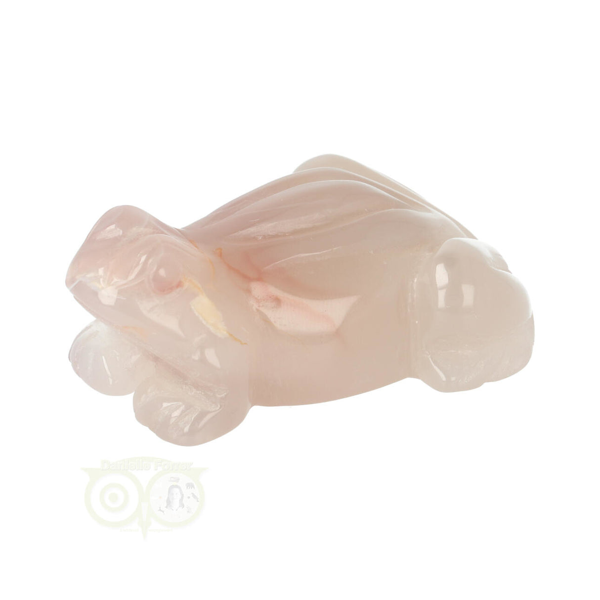 Bloem Agaat kikker nr 20