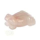 Bloem Agaat kikker nr 20