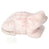 Bloem Agaat kikker nr 21