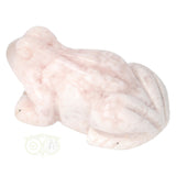 Bloem Agaat kikker nr 21