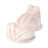 Bloem Agaat kikker nr 21