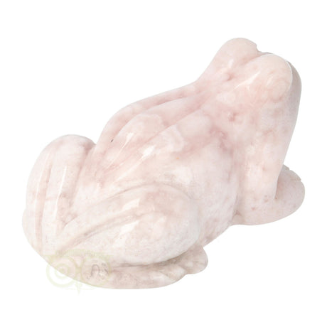 Flower Agate Frog No. 21