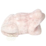 Bloem Agaat kikker nr 21