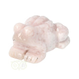 Bloem Agaat kikker nr 21