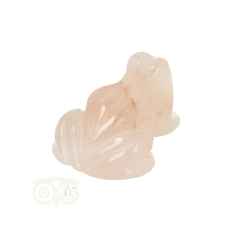 Flower Agate Frog No. 23