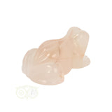 Bloem Agaat kikker nr 23