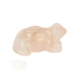 Bloem Agaat kikker nr 23