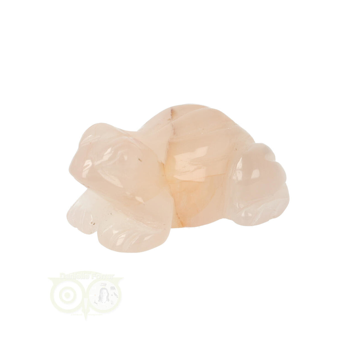 Bloem Agaat kikker nr 23