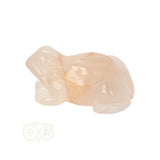 Bloem Agaat kikker nr 23