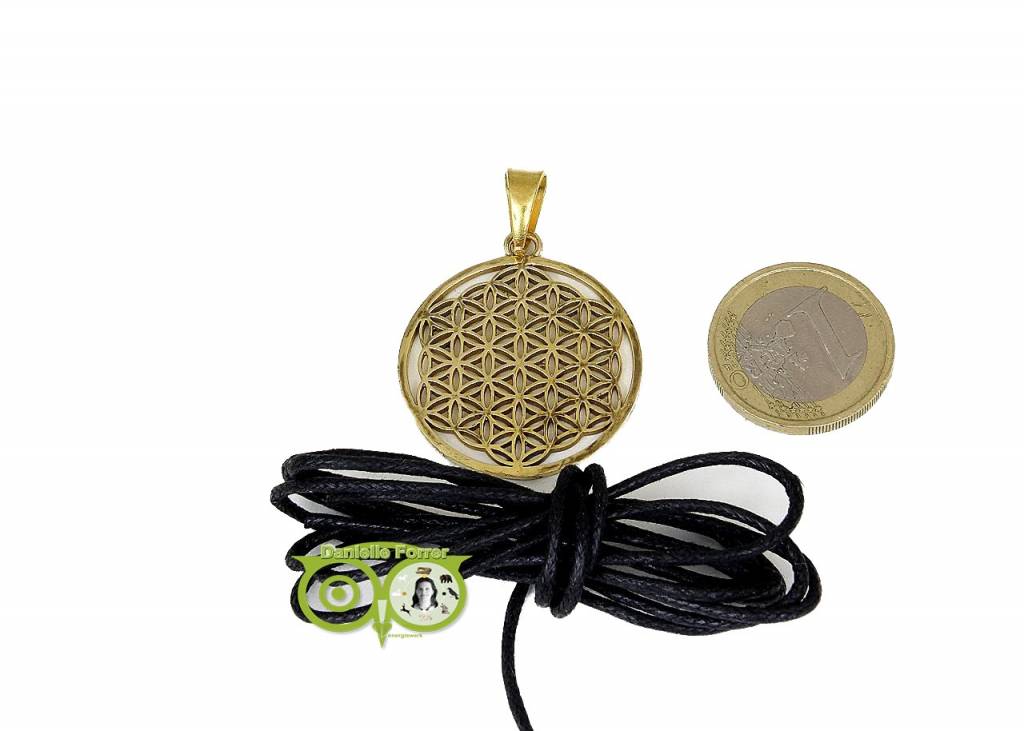 Bloem des Levens hanger messing goudkleurig (3 cm) ( Flower of Life)