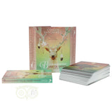 Boodschappen van de Dieren orakel - Colette Baron-Reid