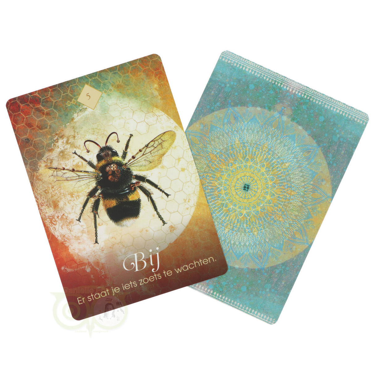 Boodschappen van de Dieren orakel - Colette Baron-Reid