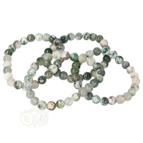 Tree Agate bracelet 8 mm