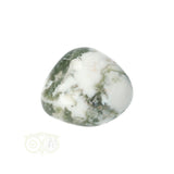 Tree Agate Tumbled Stone No. 10