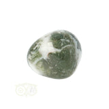 Tree Agate Tumbled Stone No. 10