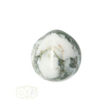 Tree Agate Tumbled Stone No. 10