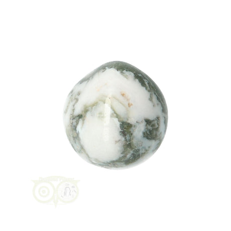 Tree Agate Tumbled Stone No. 10