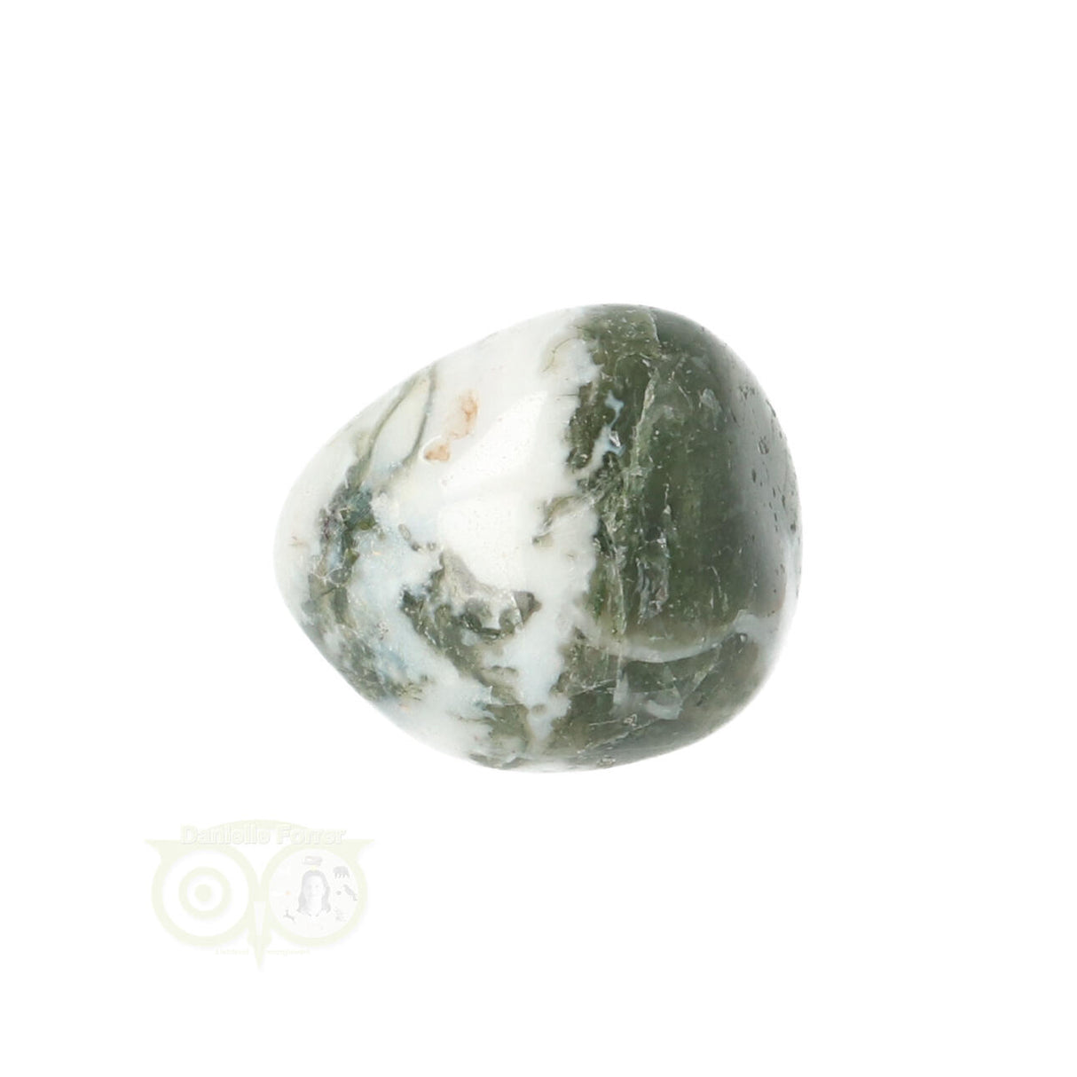 Tree Agate Tumbled Stone No. 10