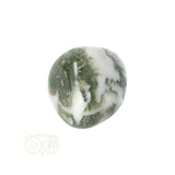Tree Agate Tumbled Stone No. 10