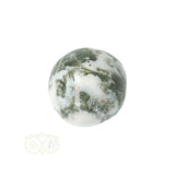 Tree Agate Tumbled Stone No. 10