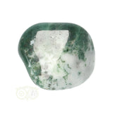 Boom Agaat knuffelsteen Nr 11