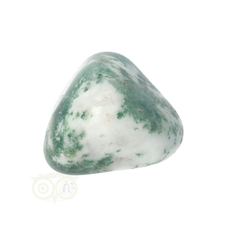 Tree Agate Tumbled Stone No. 11