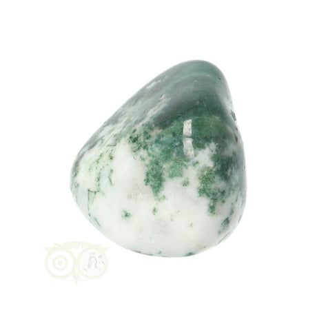 Tree Agate Tumbled Stone No. 11