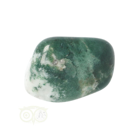 Tree Agate Tumbled Stone No. 11