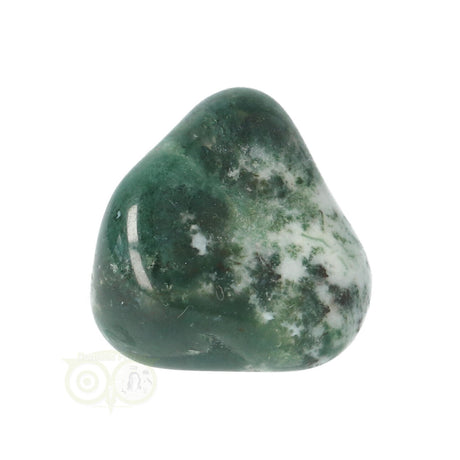Tree Agate Tumbled Stone No. 11