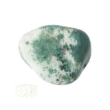 Boom Agaat knuffelsteen Nr 11