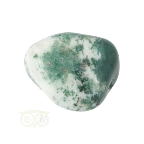 Tree Agate Tumbled Stone No. 11
