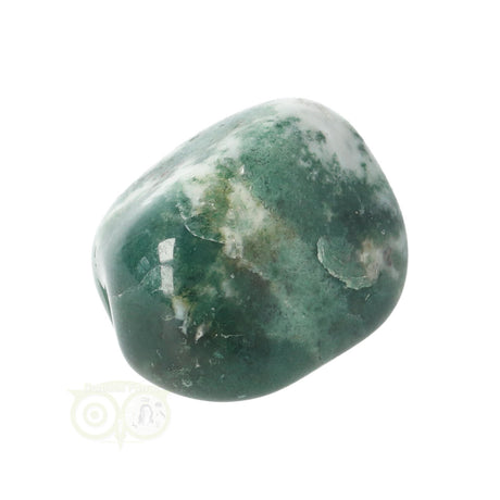 Tree Agate Tumbled Stone No. 11