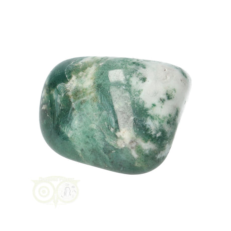 Tree Agate Tumbled Stone No. 11